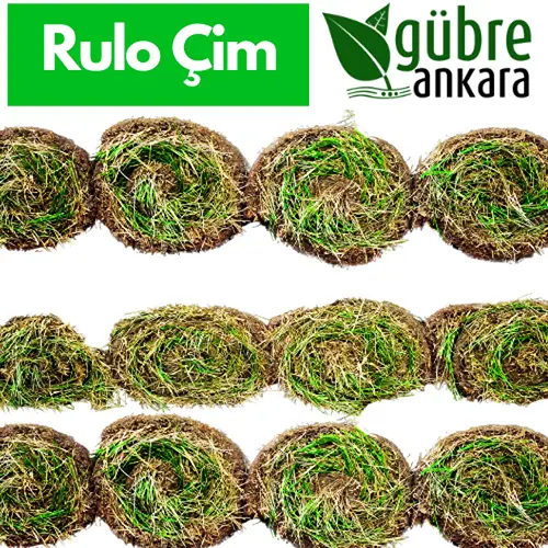 Manisa Rulo Çim - Hazır Çim Fiyatı