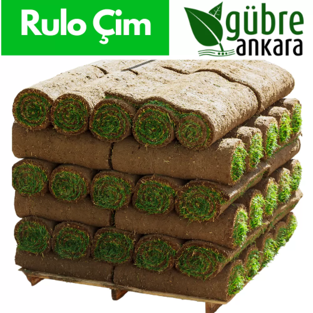 Manisa Hazır Rulo Çim - Firması ve Uygulaması